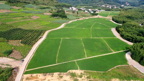 柳州市强化耕地保护 累计建成高标准农田210.7万亩
