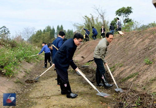 节后上班第一天,博白县四家班子领导开展义务植树和兴修农田水利活动