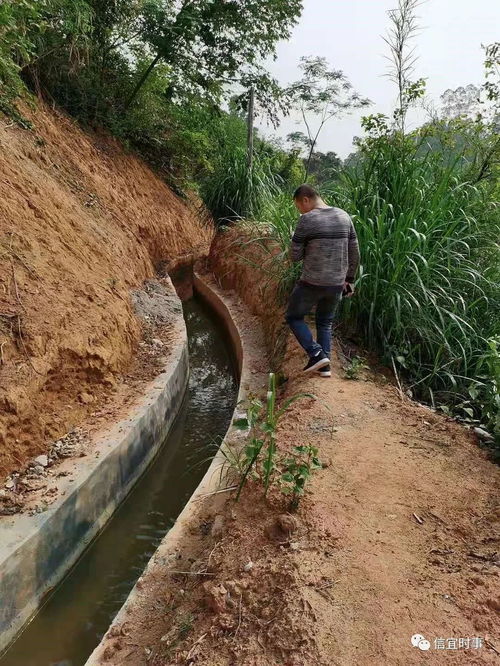 工程做完了,农民反而没水灌溉农田了,这样的水利工程是利民还是坑民 信宜水务局